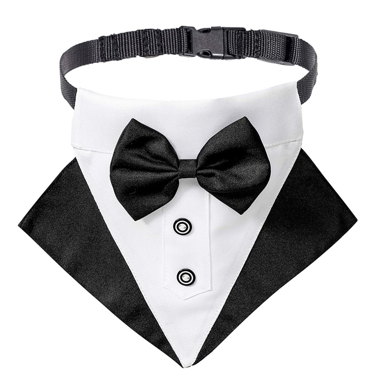 Tuxedo Ezkontza Txakur Bandana Lepoko Gorbatarekin