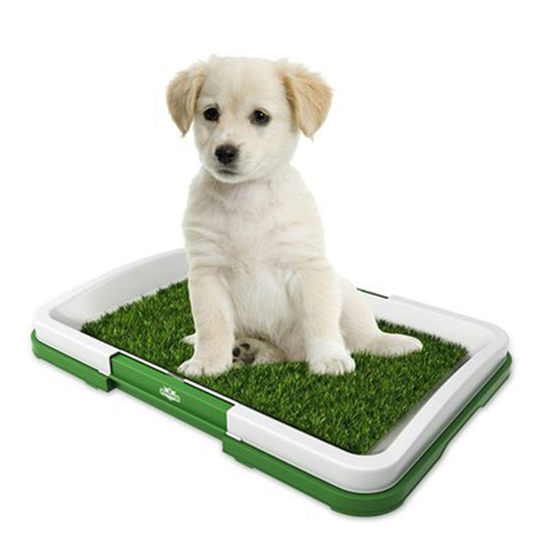 Grass Mat Barruan Pet maskota erretilua