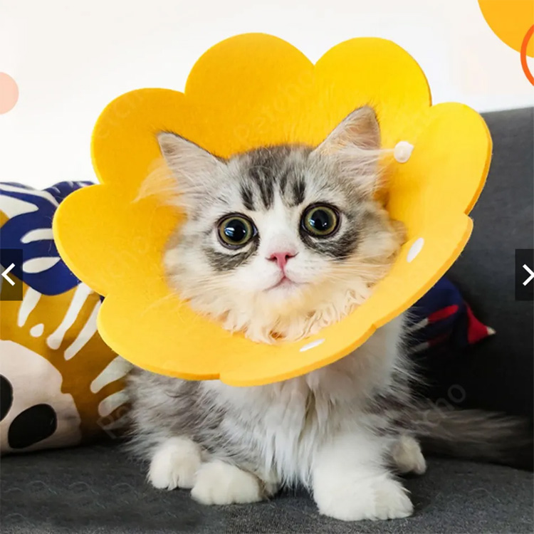 Pet Cone Elizabeth Felt Secredity Dog Cat lepokoa