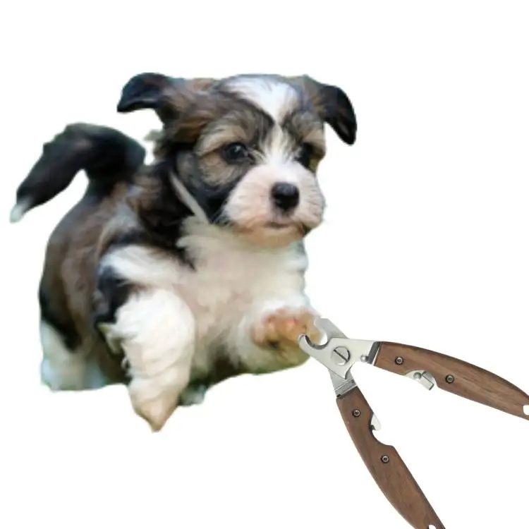 Pet Nail Grooming Tool: Gida maskota iltze onena aukeratzeko gida